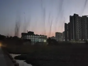 mosquito tornado in pune