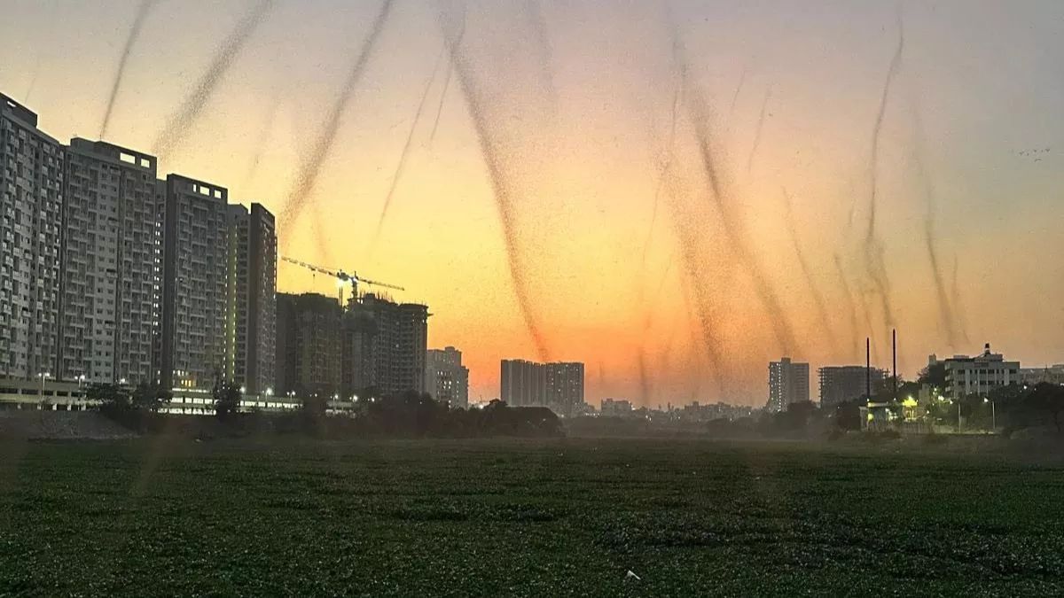 mosquito tornado pune